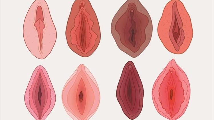 لابیای داخلی